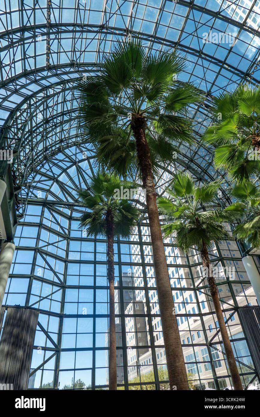 Das Winter Garden Atrium, Brookfield Place in Battery Park City, New York City, USA 2025 Stockfoto