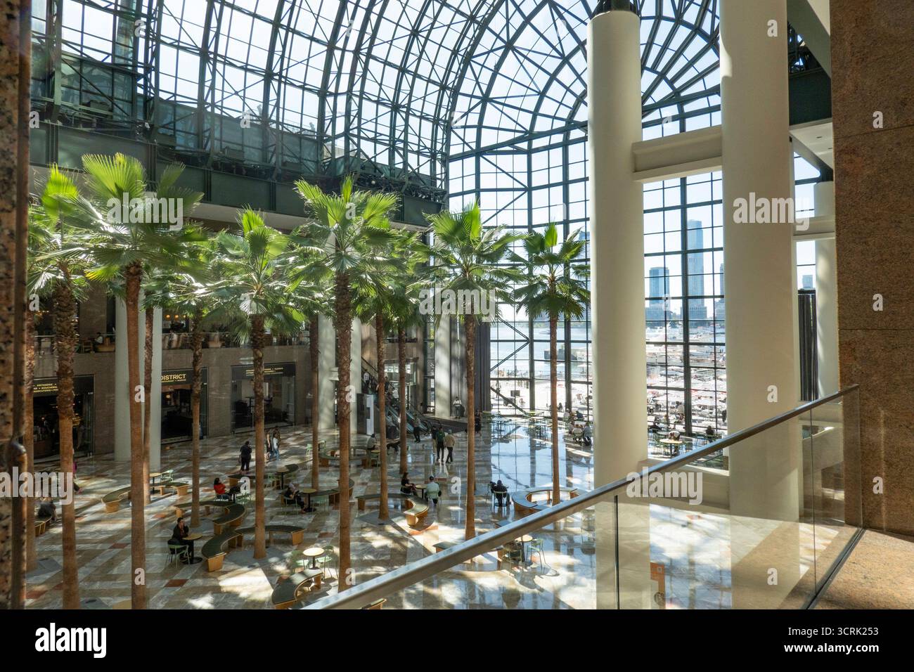 Das Winter Garden Atrium, Brookfield Place in Battery Park City, New York City, USA 2025 Stockfoto
