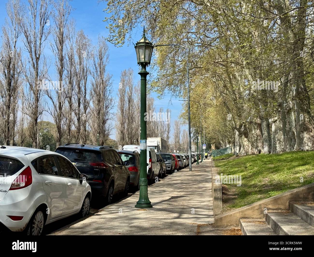 Ein von Bäumen gesäumter urbaner Park-Pfad mit einer alten Straßenlaterne und einem gepflasterten Gehweg, der an klaren Tagen in Richtung eines klassischen Gebäudes führt. - Smartphone-aufgenommenes Stockfoto