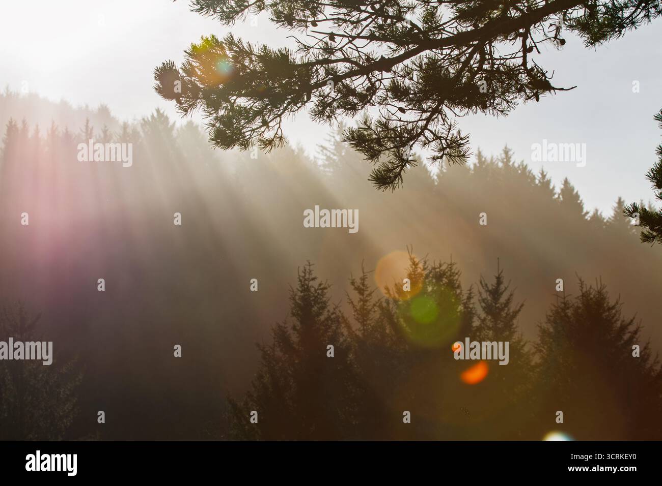 Sonnenstrahlen auf der Oregon Coast Mountain Range Stockfoto