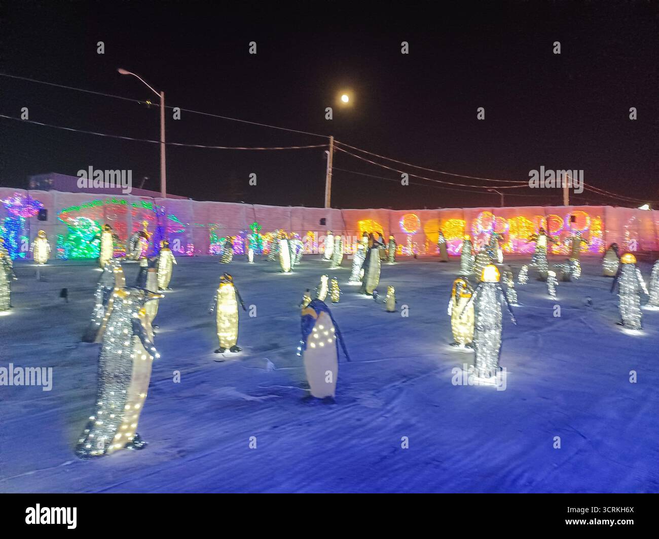 Toronto, ON, Kanada – 18. Oktober 2024: Die massiven Illumi-Lichtstatuen und -Installationen werden auf dem Lichtfestival in Toronto vorgestellt. Stockfoto Toronto, ON, Kanada – 18. Oktober 2024: Die massiven Illumi-Lichtstatuen und -Installationen werden auf dem Lichtfestival in Toronto vorgestellt. Stockfoto