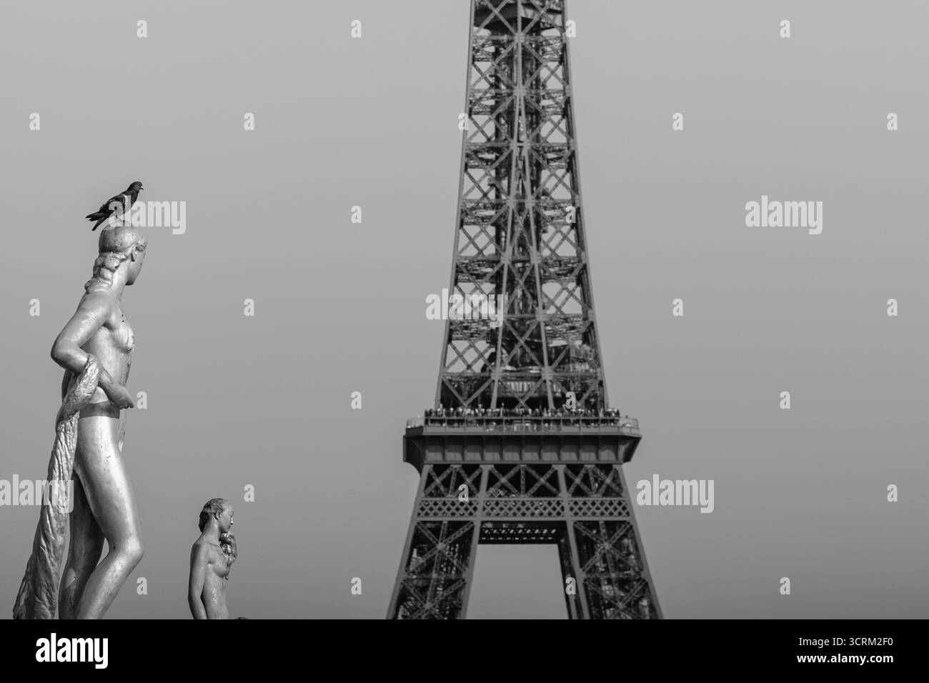 Paris, Frankreich - 9. August 2025 : Blick auf eine Taube auf einer Statue und den Eiffelturm in Paris Frankreich im Hintergrund in Schwarz-weiß Stockfoto