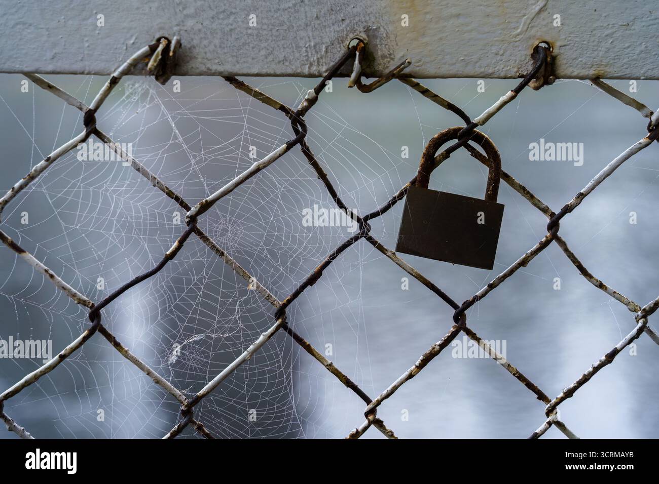 Rostiges Vorhängeschloss hängt an einem verwitterten Maschendrahtzaun mit Spinnennetzen. Stockfoto