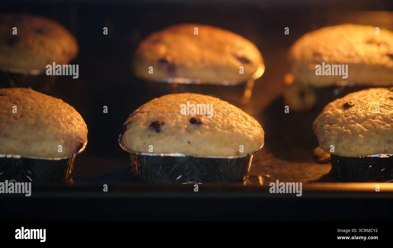 Hausgemachte Hüttenkäse-Muffins im Ofen mit goldenen Spitzen, weicher Textur und köstlichem frisch gebackenem Aroma. Stockfoto