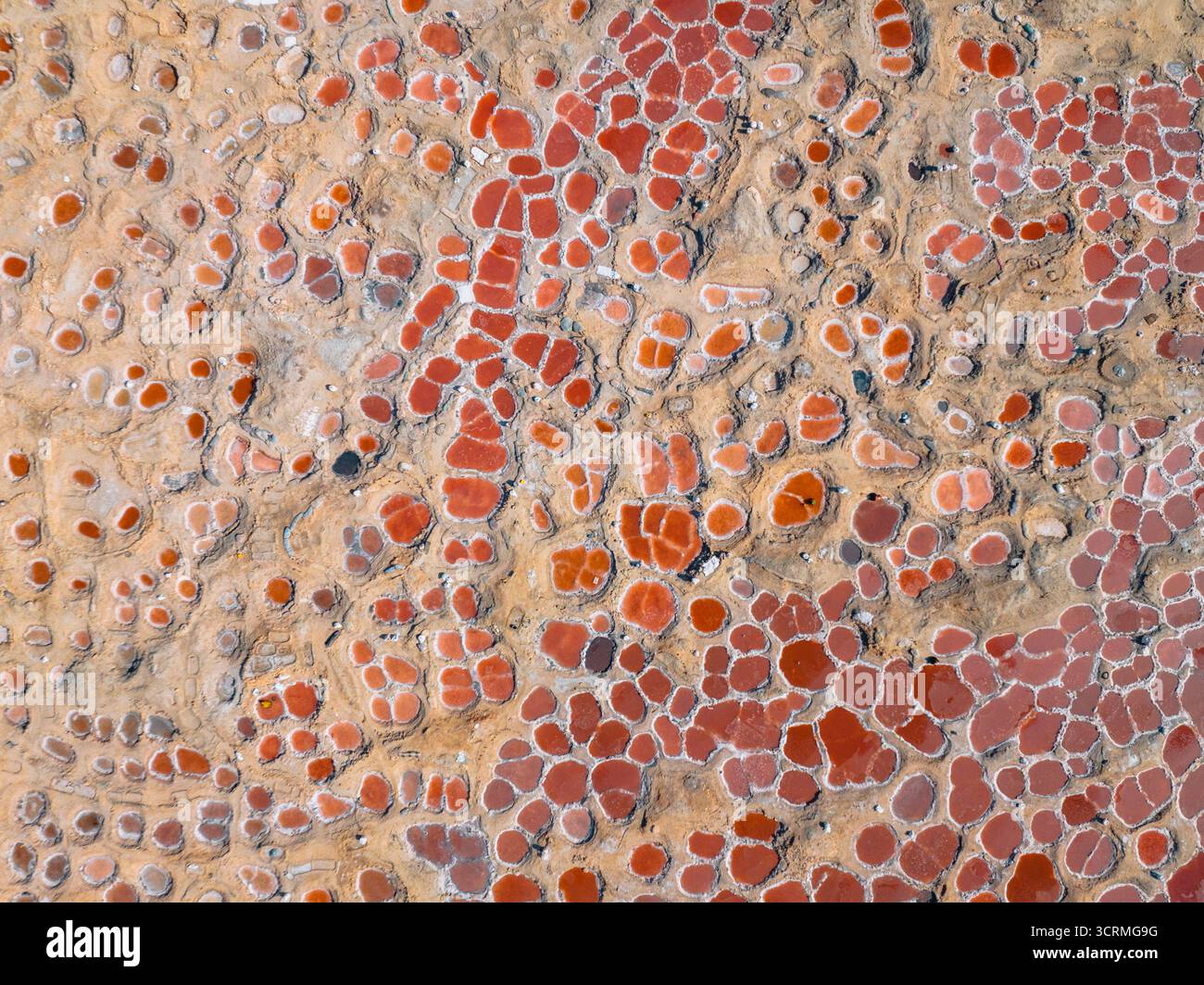 Luftaufnahme der Landoberfläche mit einem Mosaik aus rötlich-braunen Formen vor hellbraunem Hintergrund, wodurch ein organisches, strukturiertes Muster entsteht, S Stockfoto