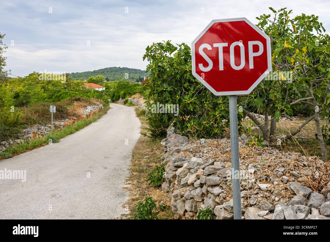 Ein rotes Stoppschild steht neben einer schmalen Landstraße, die von einer Steinmauer und Bäumen begrenzt wird. Die ruhige ländliche Szene ruft Sicherheit, Vorsicht und die Simplici hervor Stockfoto