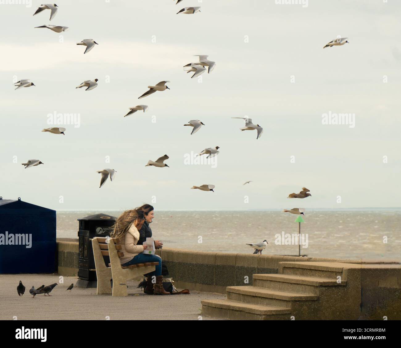 Zwei Frauen am Meer, die von Möwen wegen ihrer Chips angegriffen werden Stockfoto