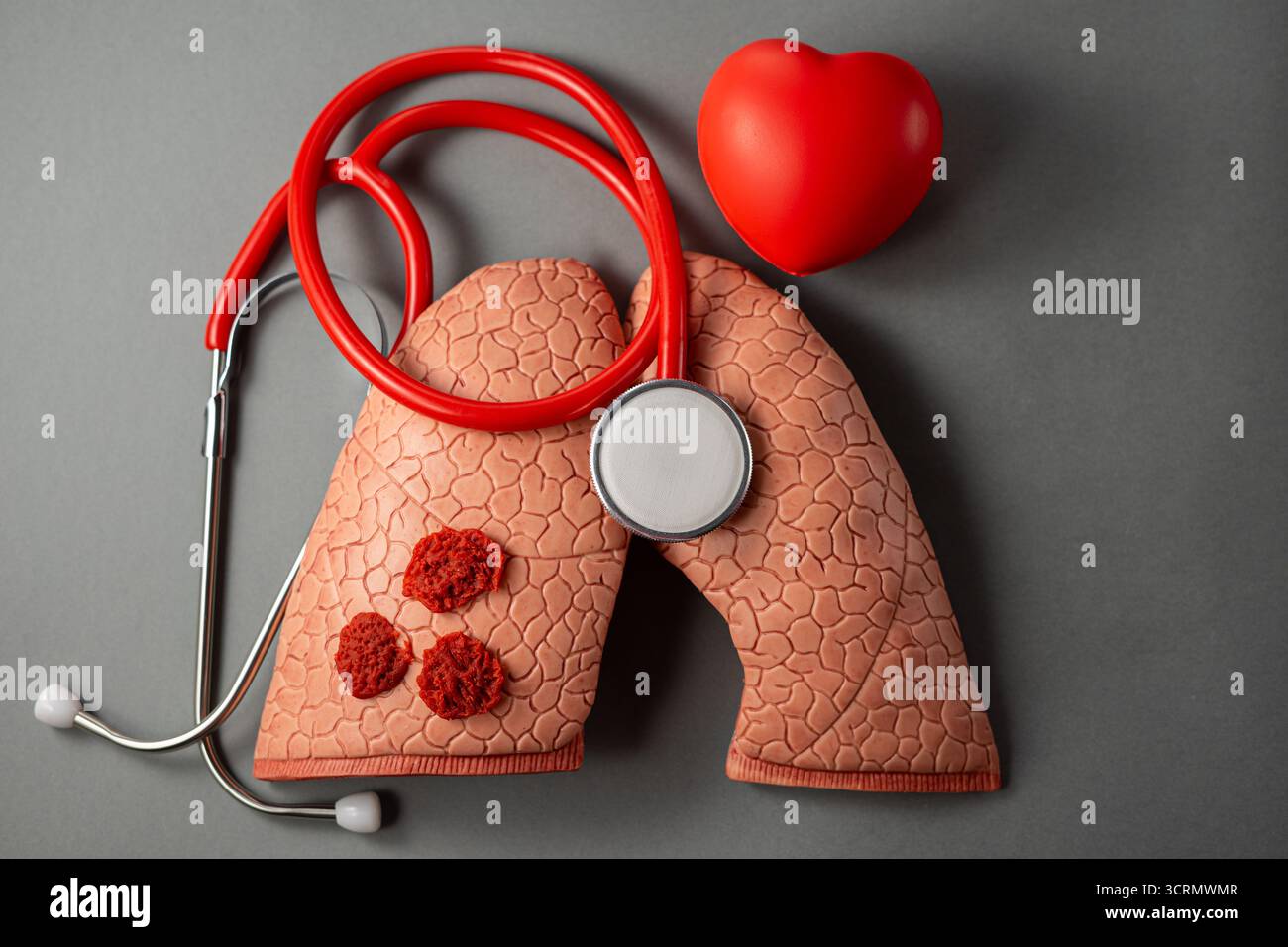 Welttuberkulosetag. Draufsicht der menschlichen Lunge und des medizinischen Stethoskops, Kopierraum Stockfoto