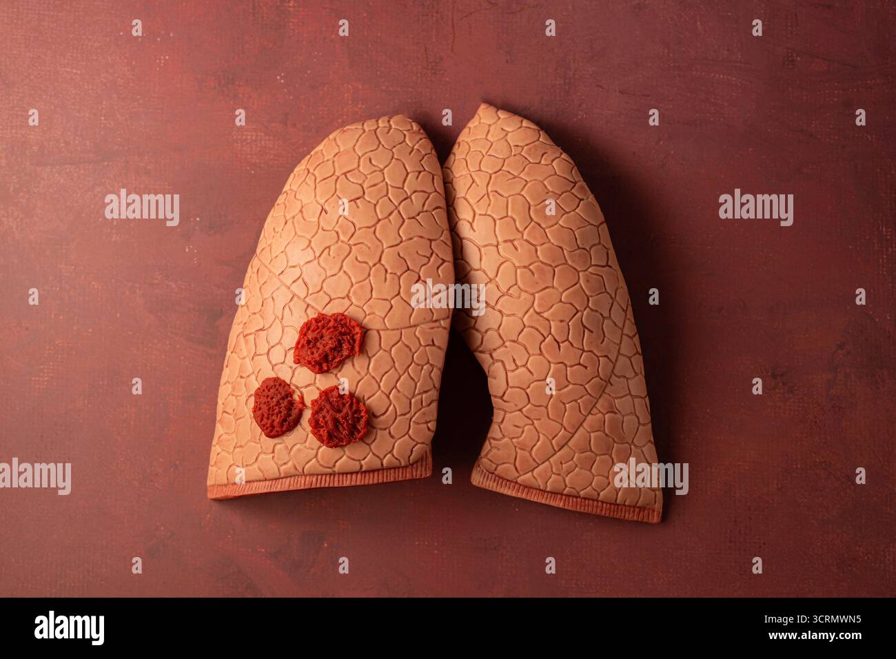 Welttuberkulosetag. Lunge mit Blutzellen auf rotem Hintergrund, Draufsicht. Stockfoto