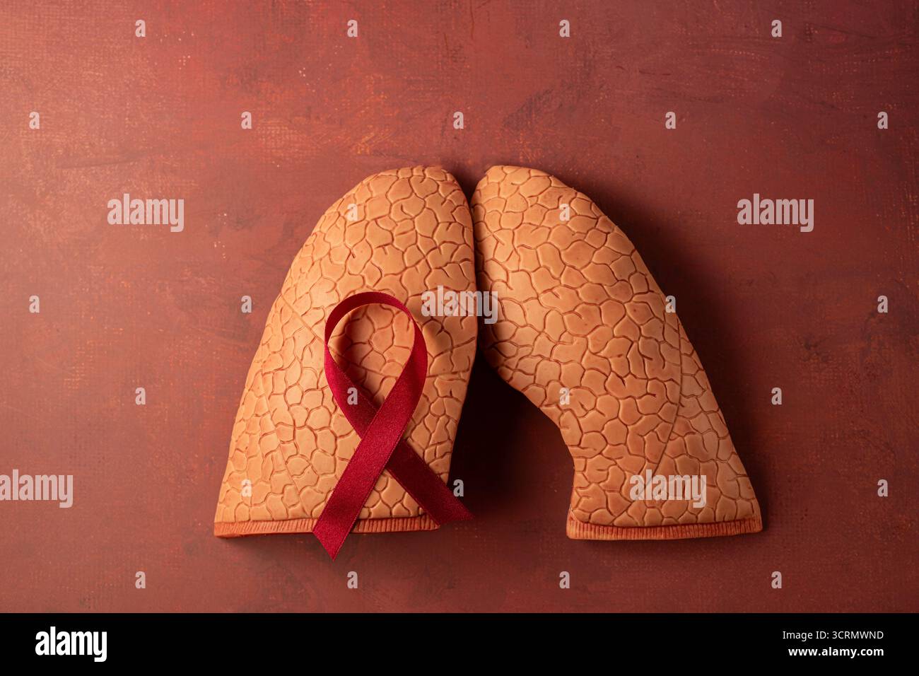 Welttuberkulosetag. Draufsicht der menschlichen Lunge und des roten Farbbands, Kopierraum Stockfoto