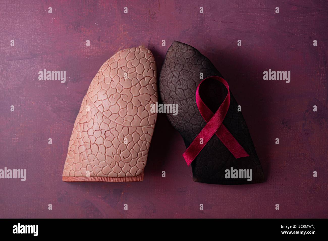 Welttuberkulosetag. Lunge mit Blutzellen auf rotem Hintergrund, Draufsicht. Stockfoto