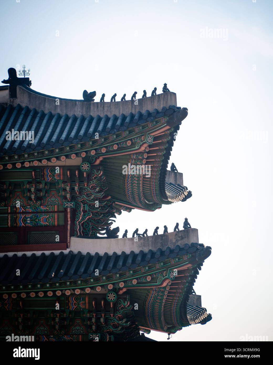 Die rechte Hälfte des Gyeongbokgung-Palastes wird an einem sonnigen Tag hinterleuchtet und zeigt scharfe Kanten und traditionelle koreanische Architektur vor einem blauen Himmel. Stockfoto