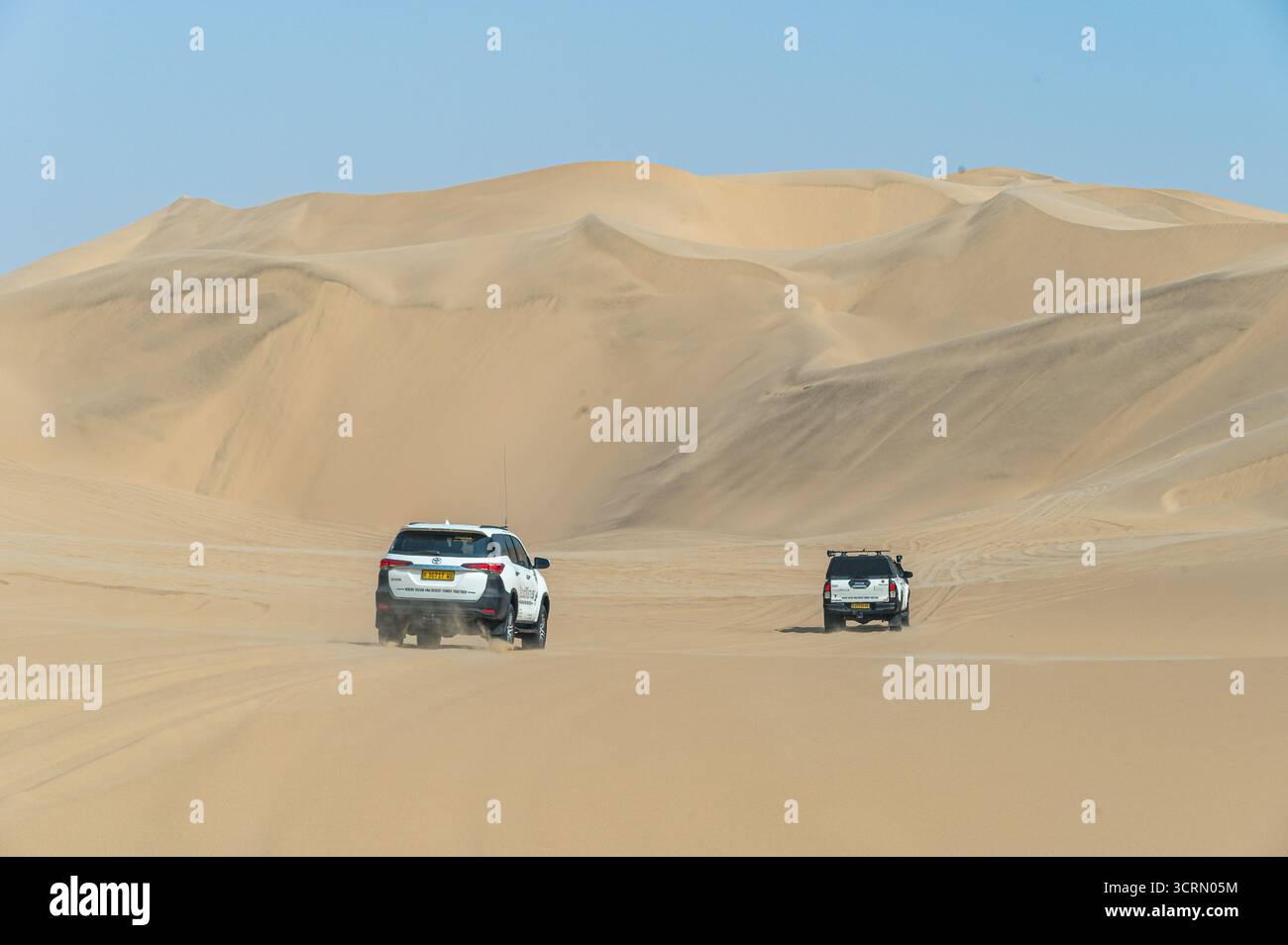 Weite Rückansicht von zwei Geländewagen, die riesige goldene Wüstendünen der Namib durchqueren, hoch aufragenden Sand im Hintergrund, klarer blauer Himmel, Swakopmund, Namibia. Stockfoto
