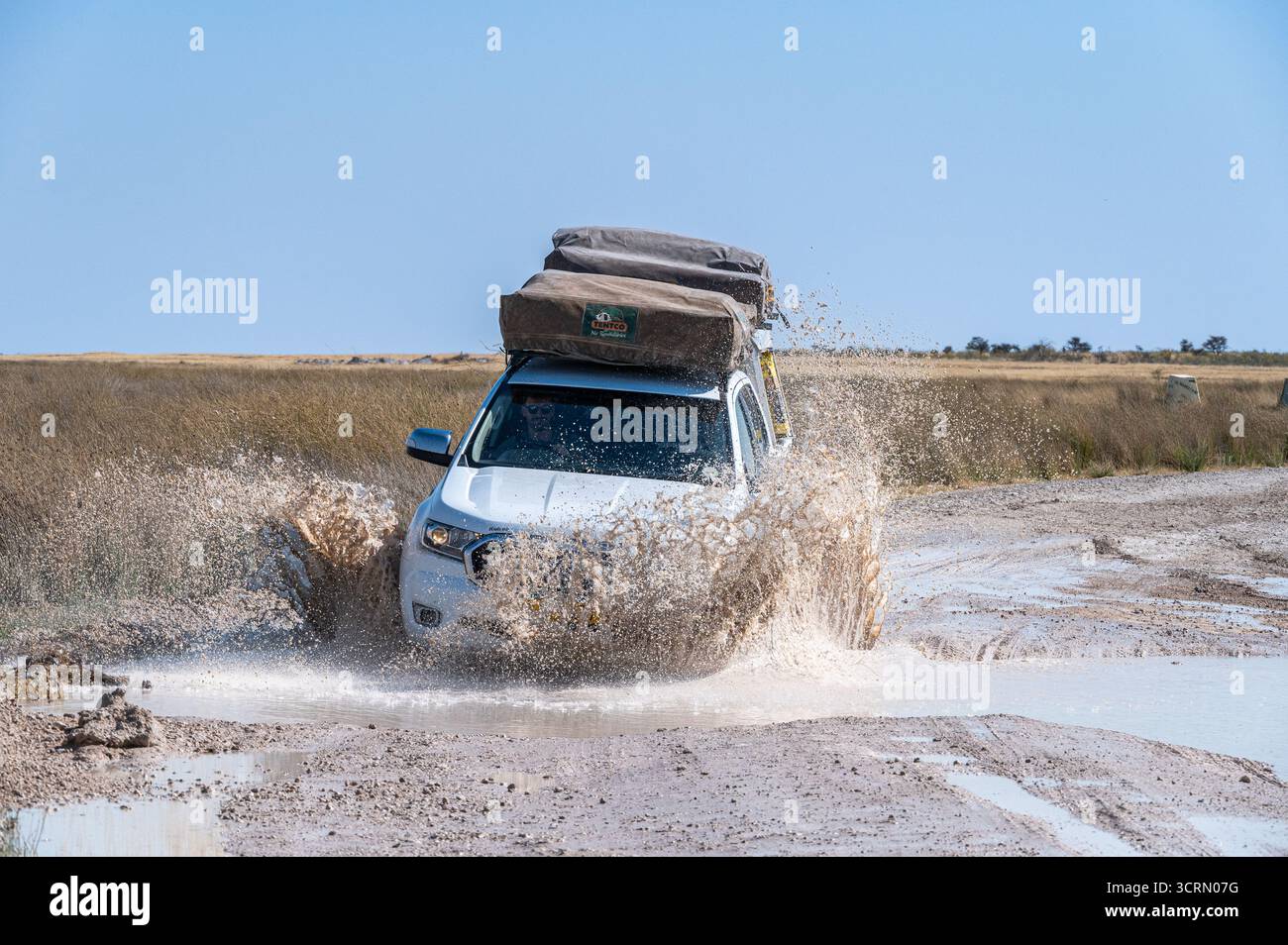 Seitlicher Held-Schuss eines weißen Doppelkabinen-Geländewagens mit zwei Dachzelten, die durch eine breite schlammige Salzpfanne platzen, Etosha, Namibia Stockfoto