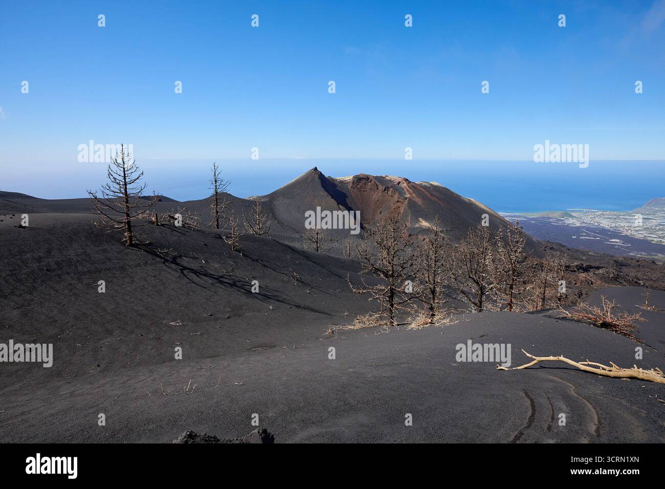 La Palma Tajogaite-Vulkan Tajogaite-Vulkan auf La Palma. Der Tajogaite-Vulkan entstand durch einen schnellen dreimonatigen Vulkanausbruch von September bis Dezember 2021. Durch den Vulkanausbruch wurde eine große Zahl von Haeusern in Doerfern und Siedlungen der Gemeinden El Paso, Los Llanos de Aridane und Tazacorte zerstoert und weite Teile landwirtschaftlich genutzter Flaeche mit Lava und Asche bedeckt. Mittlerweile darf in einem Teil der Gegend um den Vulkan in Begleitung von Orts- und fachkundiger Leitung wieder gewandert werden, wenn die Gaskonzentration in der Gegend gering ist. Im Bild: Verb Stockfoto