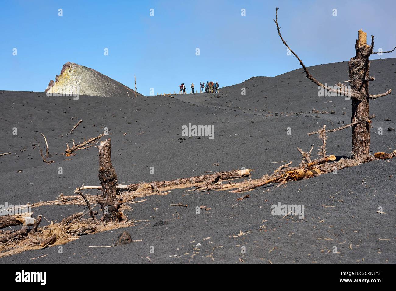 La Palma Tajogaite-Vulkan Tajogaite-Vulkan auf La Palma. Der Tajogaite-Vulkan entstand durch einen schnellen dreimonatigen Vulkanausbruch von September bis Dezember 2021. Durch den Vulkanausbruch wurde eine große Zahl von Haeusern in Doerfern und Siedlungen der Gemeinden El Paso, Los Llanos de Aridane und Tazacorte zerstoert und weite Teile landwirtschaftlich genutzter Flaeche mit Lava und Asche bedeckt. Mittlerweile darf in einem Teil der Gegend um den Vulkan in Begleitung von Orts- und fachkundiger Leitung wieder gewandert werden, wenn die Gaskonzentration in der Gegend gering ist. Im Bild: Verb Stockfoto
