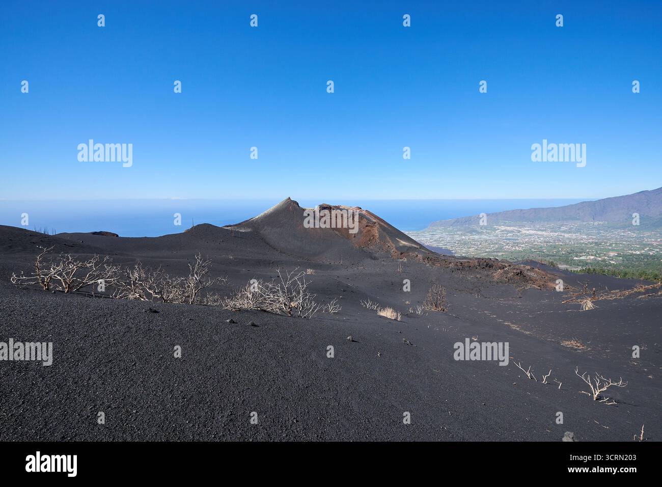 La Palma Tajogaite-Vulkan Tajogaite-Vulkan auf La Palma. Der Tajogaite-Vulkan entstand durch einen schnellen dreimonatigen Vulkanausbruch von September bis Dezember 2021. Durch den Vulkanausbruch wurde eine große Zahl von Haeusern in Doerfern und Siedlungen der Gemeinden El Paso, Los Llanos de Aridane und Tazacorte zerstoert und weite Teile landwirtschaftlich genutzter Flaeche mit Lava und Asche bedeckt. Mittlerweile darf in einem Teil der Gegend um den Vulkan in Begleitung von Orts- und fachkundiger Leitung wieder gewandert werden, wenn die Gaskonzentration in der Gegend gering ist. Im Bild: Verb Stockfoto