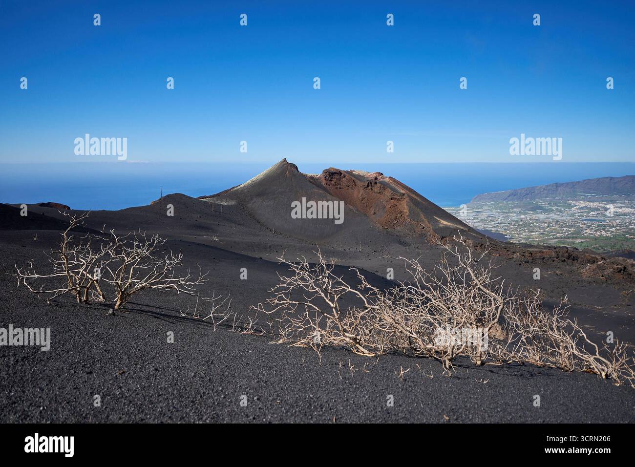 La Palma Tajogaite-Vulkan Tajogaite-Vulkan auf La Palma. Der Tajogaite-Vulkan entstand durch einen schnellen dreimonatigen Vulkanausbruch von September bis Dezember 2021. Durch den Vulkanausbruch wurde eine große Zahl von Haeusern in Doerfern und Siedlungen der Gemeinden El Paso, Los Llanos de Aridane und Tazacorte zerstoert und weite Teile landwirtschaftlich genutzter Flaeche mit Lava und Asche bedeckt. Mittlerweile darf in einem Teil der Gegend um den Vulkan in Begleitung von Orts- und fachkundiger Leitung wieder gewandert werden, wenn die Gaskonzentration in der Gegend gering ist. Im Bild: Verb Stockfoto