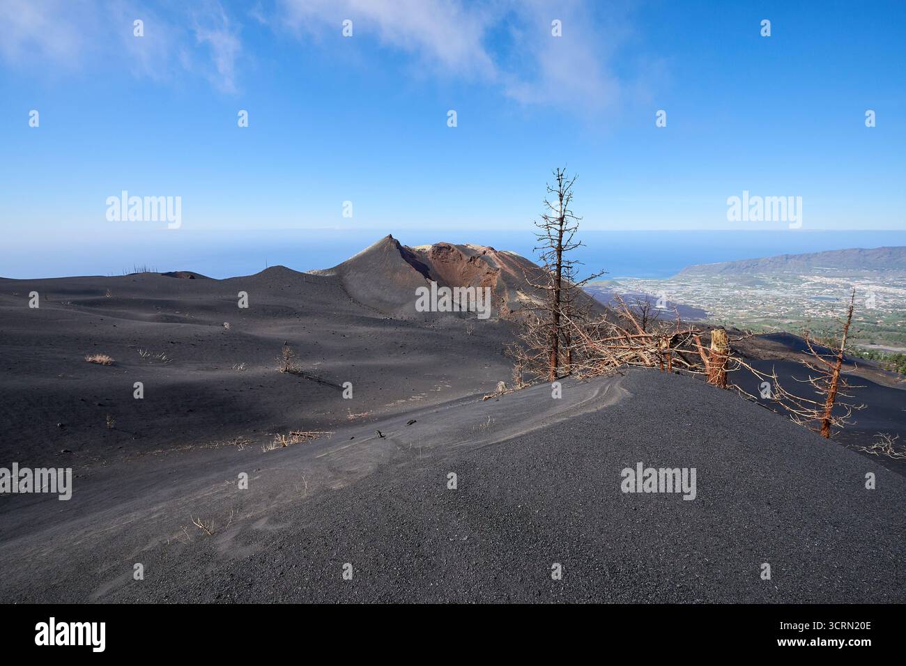 La Palma Tajogaite-Vulkan Tajogaite-Vulkan auf La Palma. Der Tajogaite-Vulkan entstand durch einen schnellen dreimonatigen Vulkanausbruch von September bis Dezember 2021. Durch den Vulkanausbruch wurde eine große Zahl von Haeusern in Doerfern und Siedlungen der Gemeinden El Paso, Los Llanos de Aridane und Tazacorte zerstoert und weite Teile landwirtschaftlich genutzter Flaeche mit Lava und Asche bedeckt. Mittlerweile darf in einem Teil der Gegend um den Vulkan in Begleitung von Orts- und fachkundiger Leitung wieder gewandert werden, wenn die Gaskonzentration in der Gegend gering ist. Im Bild: Verb Stockfoto