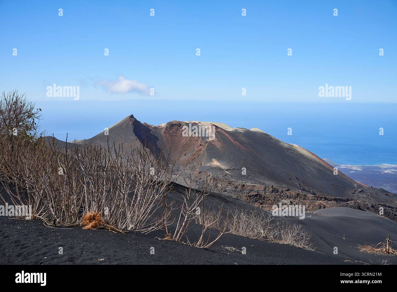 La Palma Tajogaite-Vulkan Tajogaite-Vulkan auf La Palma. Der Tajogaite-Vulkan entstand durch einen schnellen dreimonatigen Vulkanausbruch von September bis Dezember 2021. Durch den Vulkanausbruch wurde eine große Zahl von Haeusern in Doerfern und Siedlungen der Gemeinden El Paso, Los Llanos de Aridane und Tazacorte zerstoert und weite Teile landwirtschaftlich genutzter Flaeche mit Lava und Asche bedeckt. Mittlerweile darf in einem Teil der Gegend um den Vulkan in Begleitung von Orts- und fachkundiger Leitung wieder gewandert werden, wenn die Gaskonzentration in der Gegend gering ist. Im Bild: Verb Stockfoto