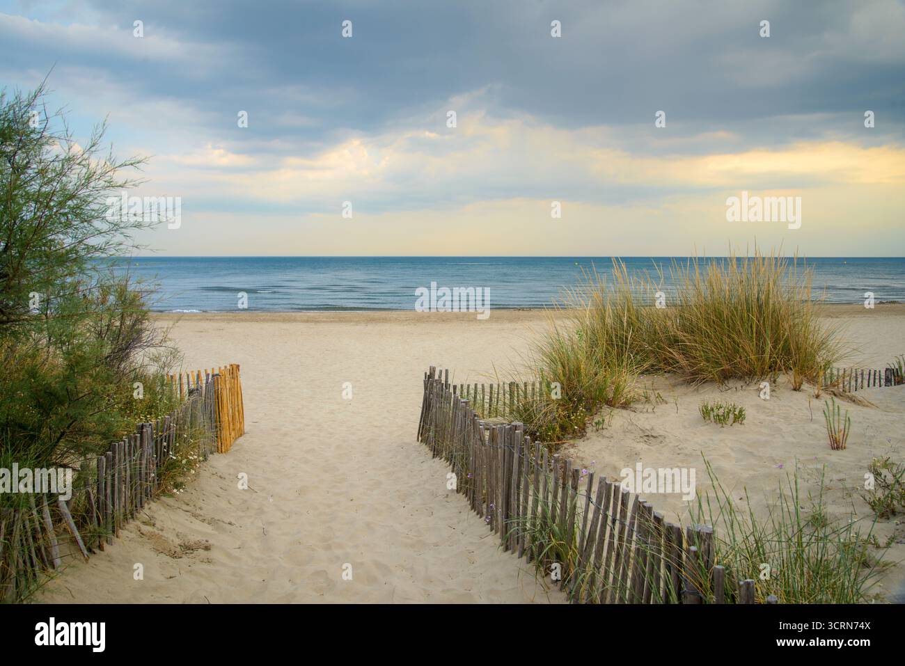 Der Strand in der Nähe von Montpellier (Herault, Languedoc-Roussillon, Frankreich) im Juni. Stockfoto