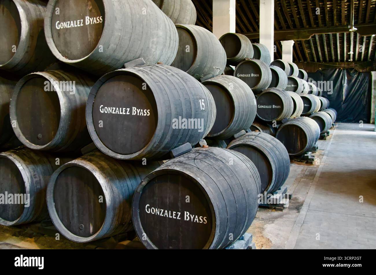 Korridore mit Reihen von Sherry-Fässern aus amerikanischer Eiche, die in den Bodegas Jerez de la Frontera Cádiz Andalusien Spanien Europa gestapelt sind Stockfoto