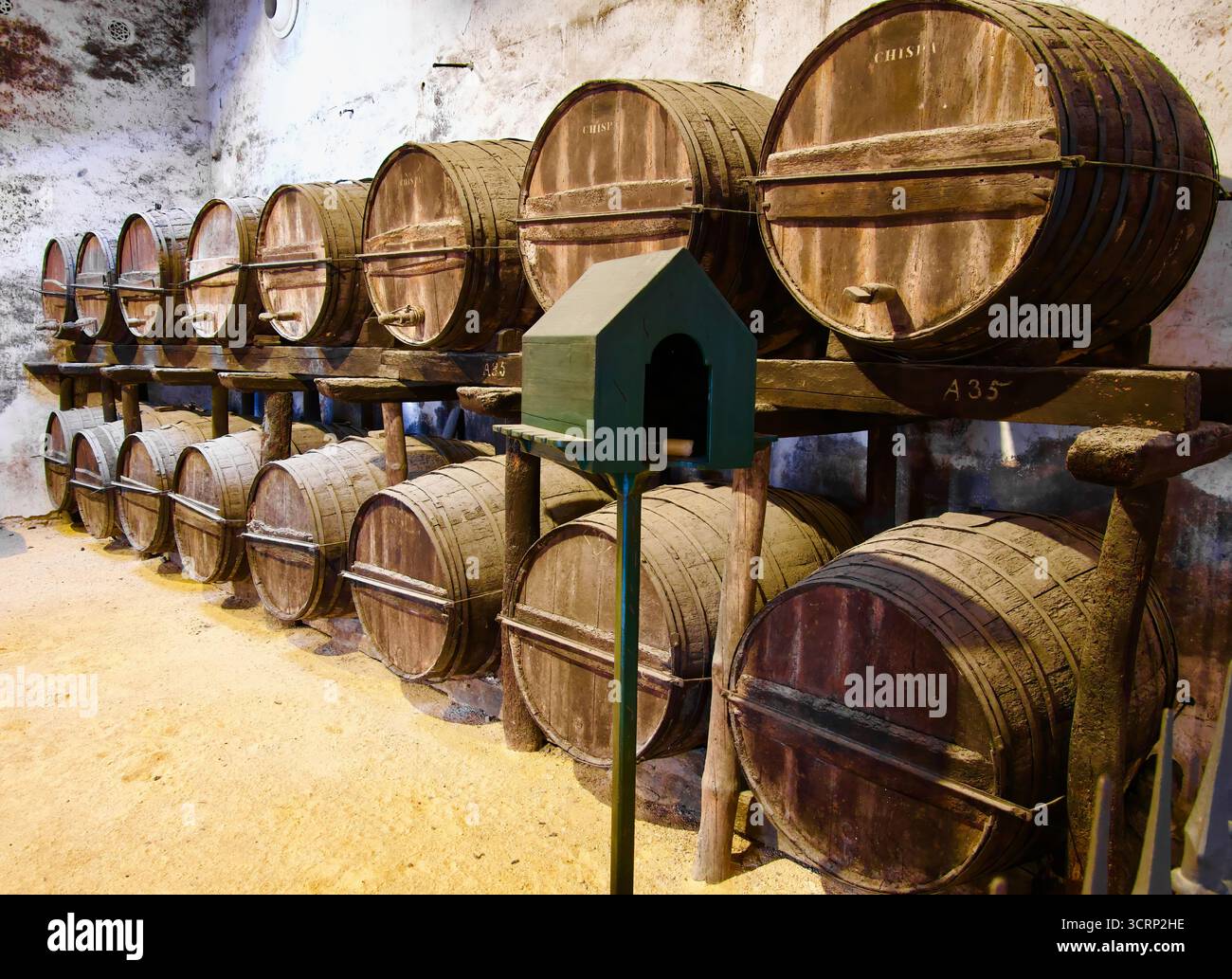 Nistkasten und gestapelte Fino-Sherry-Fässer aus amerikanischer Eiche im Inneren des Gonzalez Byass Bodegas Jerez de la Frontera Cádiz Andalusien Spanien Europa Stockfoto