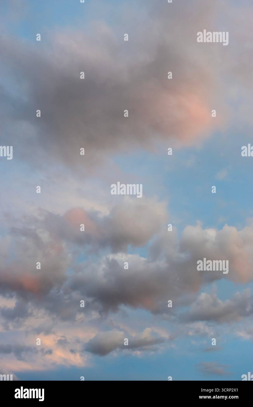 Weiche Wolken mit pastellrosa Highlights am blauen Himmel bei Sonnenuntergang, friedlicher Natur Hintergrund Stockfoto
