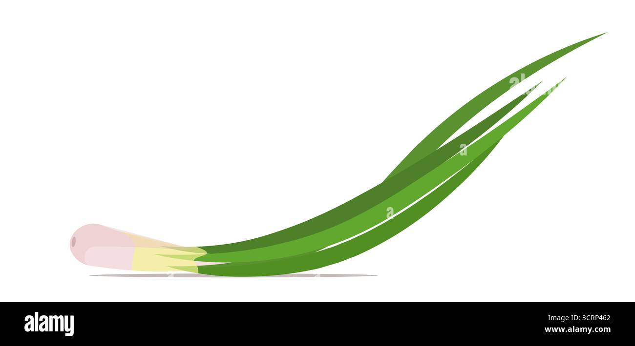 Grüne Zwiebel isoliert auf weißem Hintergrund. Gesunde Bio Rohkost vegane Lebensmittel. Vektor nicht AI generiert Stockfoto