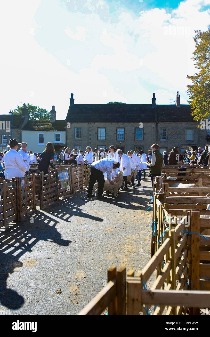 40. Masham Sheep Fair 2025, North Yorkshire, England, Vereinigtes Königreich Stockfoto