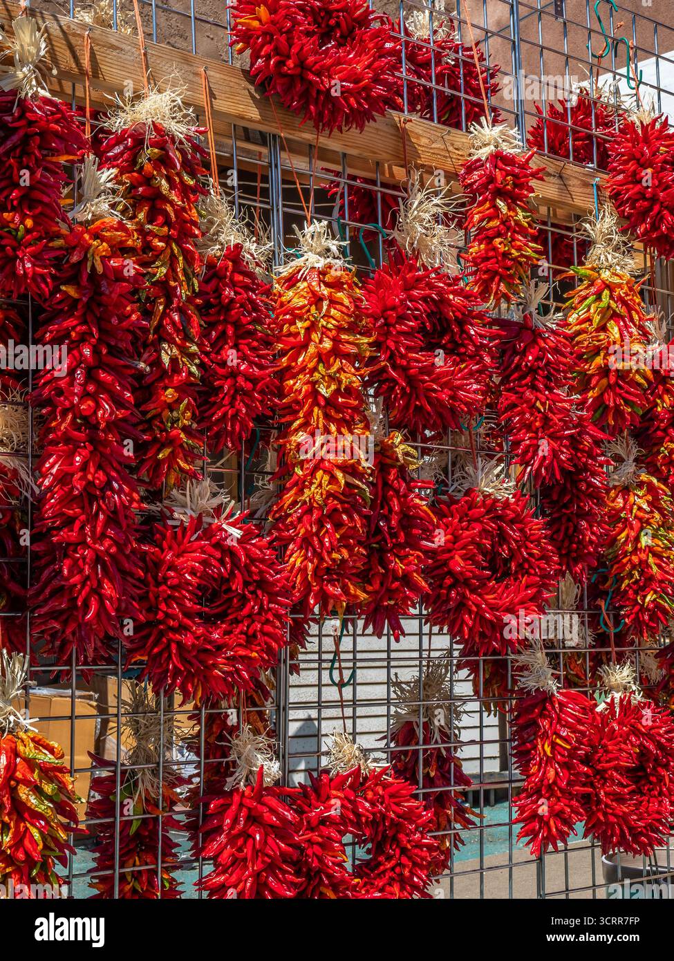 Chili-Paprika bei einem Straßenhändler in der Innenstadt von Santa Fe, New Mexico. Stockfoto