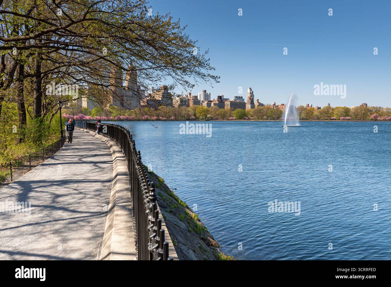 Jackie Onassis Lake im Frühling, Central Park, New York Stockfoto