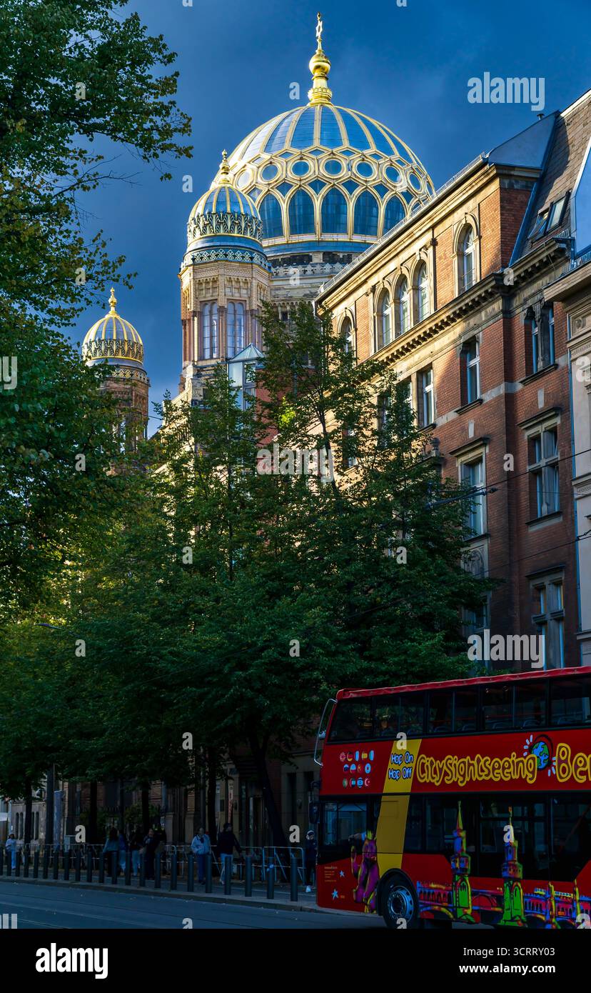 Neue Synagoge Berlin, Deutschland, mit goldenem Dom und Sightseeing Bus in vertikaler Aussicht Stockfoto