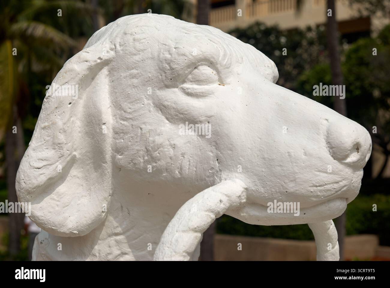 Eine detailgetreue Skulptur eines Hundekopfes steht in einem lebhaften Garten, umgeben von üppigem Grün und Palmen. Das Bildmaterial hebt Loyalt hervor Stockfoto