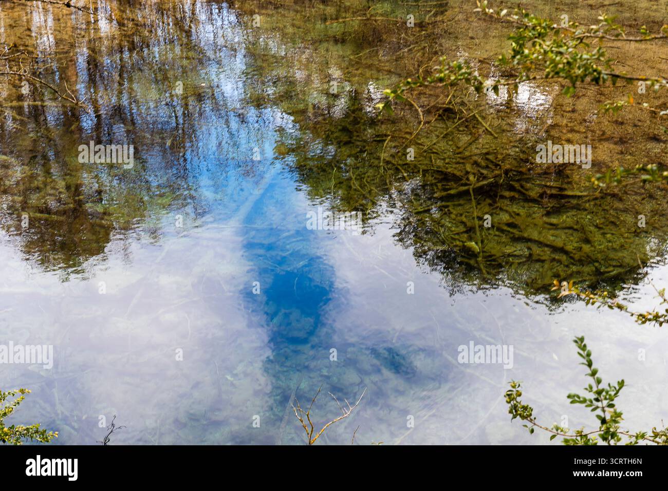 Der ruhige Teich reflektiert den blauen Himmel und die umliegenden Bäume und schafft eine friedliche Atmosphäre in der Natur. Stockfoto