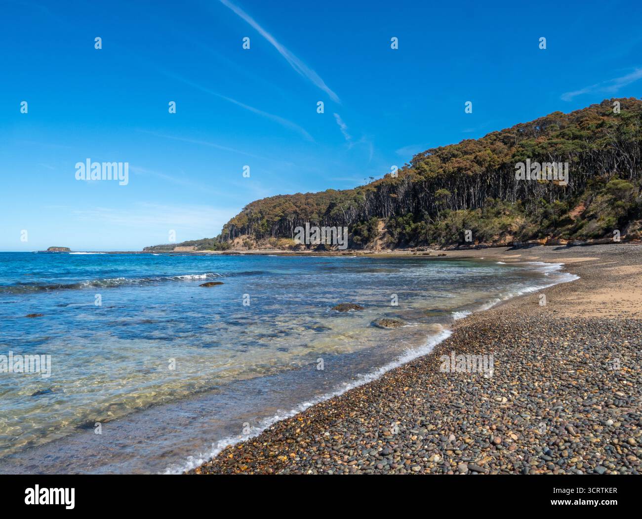Pebbly Beach im Murramarang National Park, NSW, Australien Stockfoto