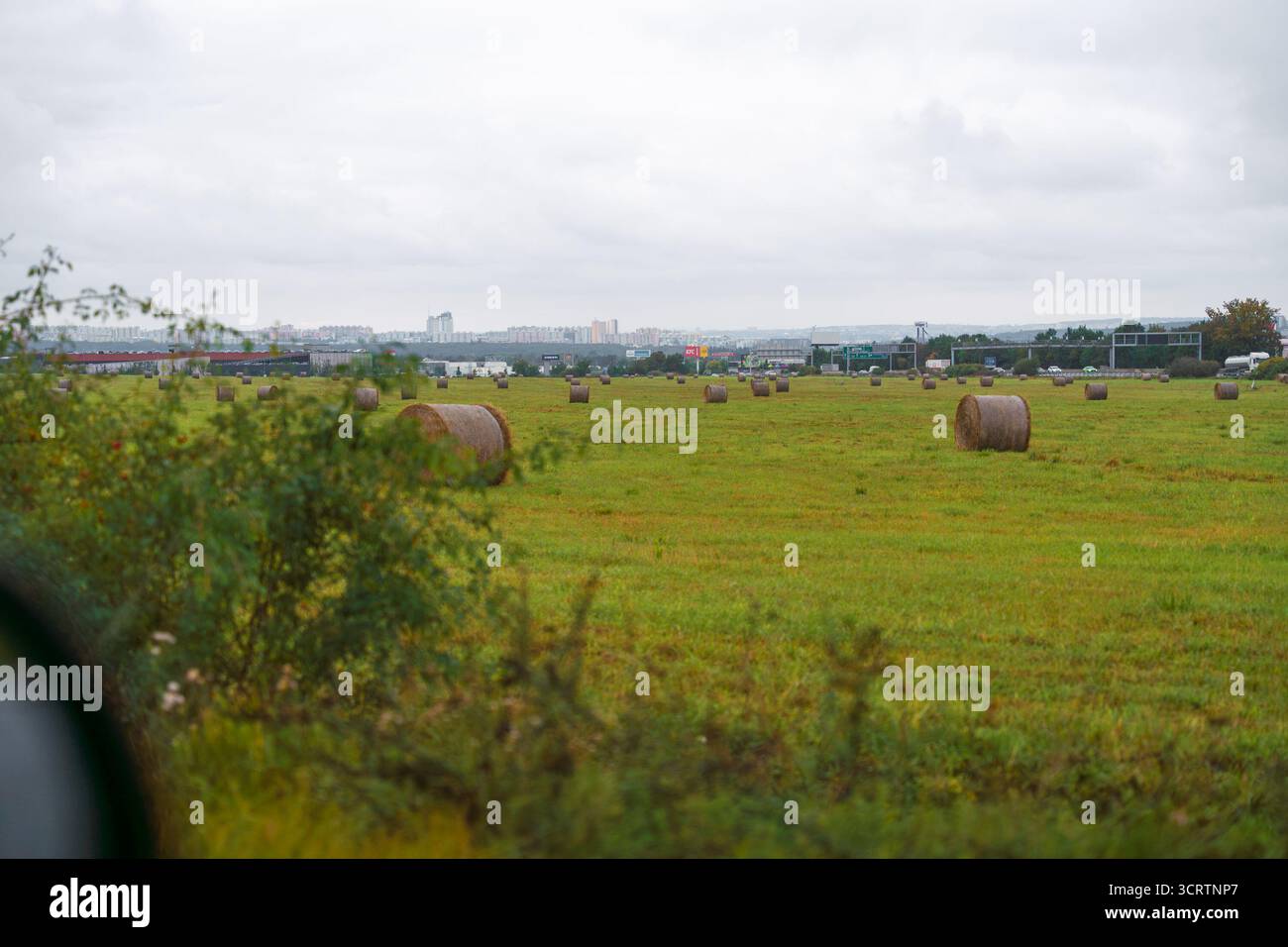 Runde Heuballen auf grünem Feld mit Skyline der Stadt und Straßenverkehr im Hintergrund unter bewölktem Himmel. Stockfoto