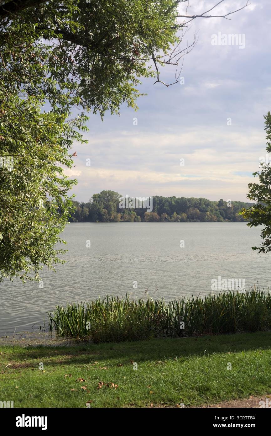 See an einem bewölkten Tag mit der gegenüberliegenden Küste und umgeben von zwei Bäumen Stockfoto