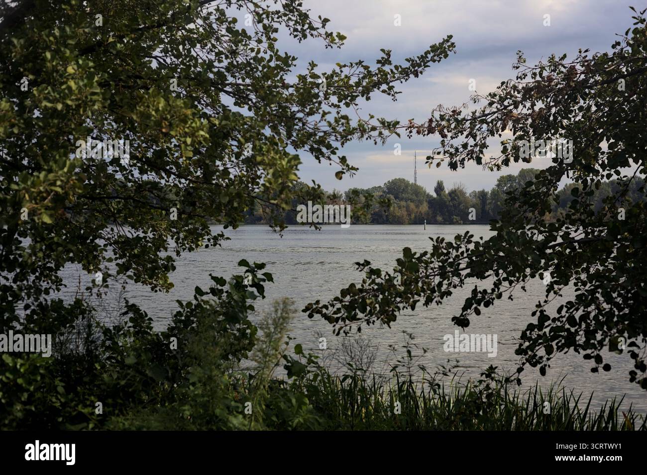 See an einem bewölkten Tag mit der gegenüberliegenden Küste und umgeben von zwei Bäumen Stockfoto