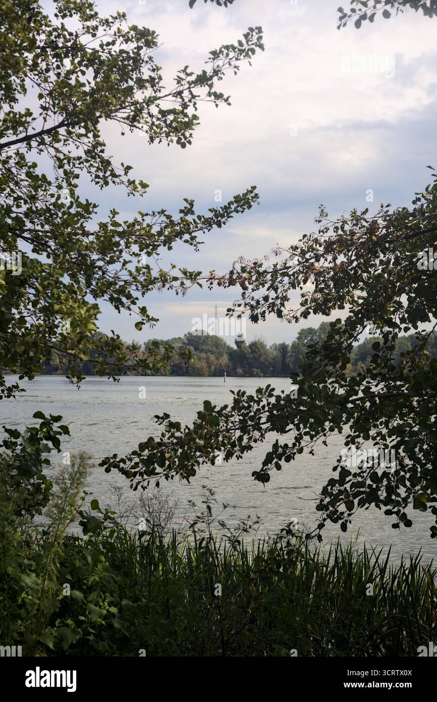 See an einem bewölkten Tag mit der gegenüberliegenden Küste und umgeben von zwei Bäumen Stockfoto