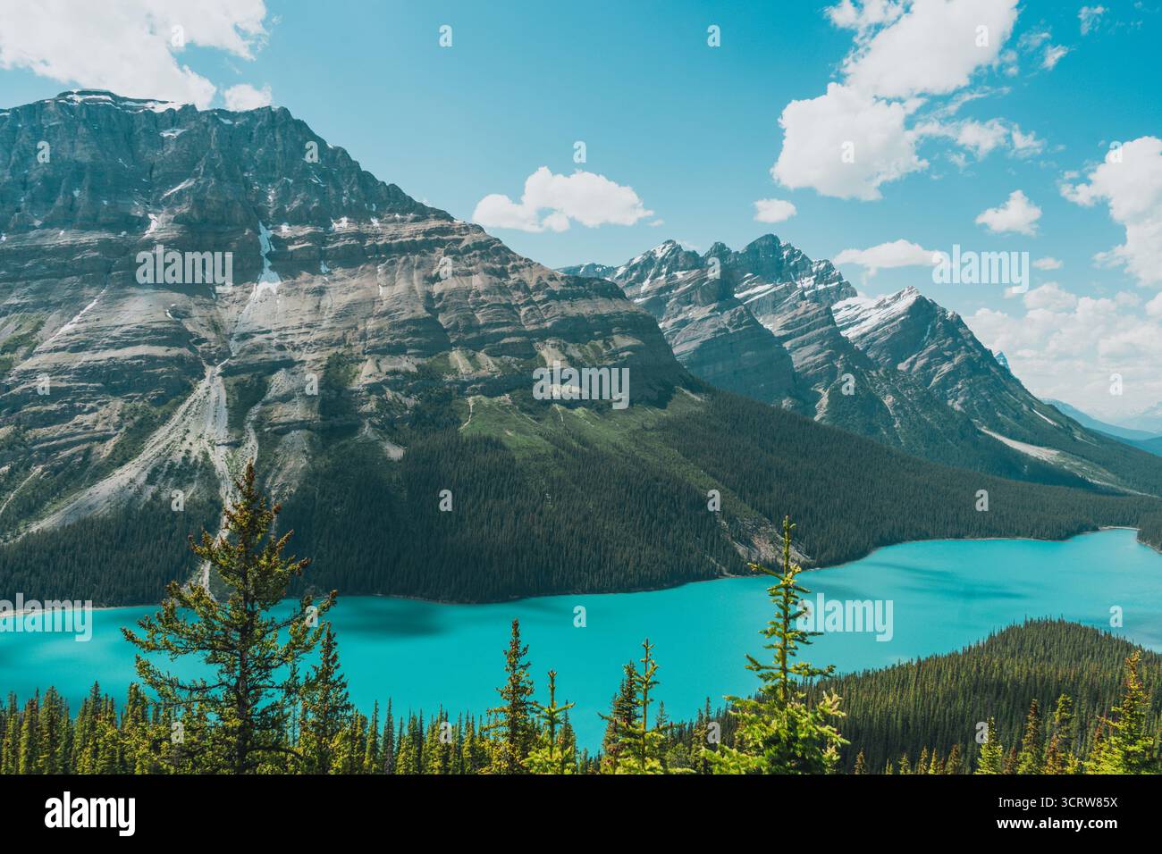Majestätische Berge überragen einen türkisfarbenen See, umgeben von grünen Wäldern. Stockfoto