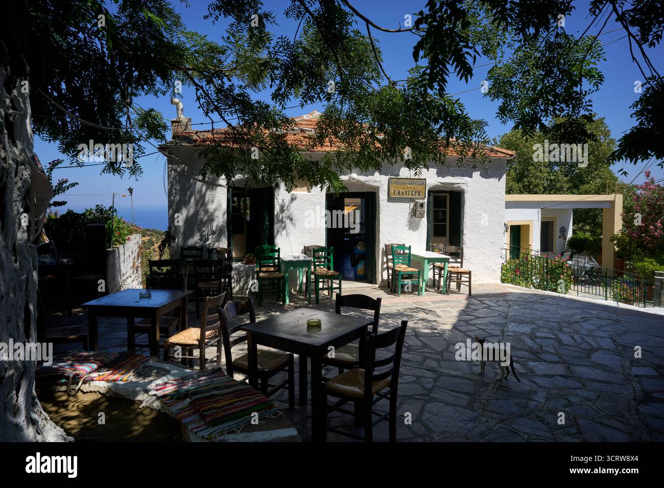 Ein traditionelles Café oder Kafeneion, Akamatra, Ikaria, Griechenland. Stockfoto