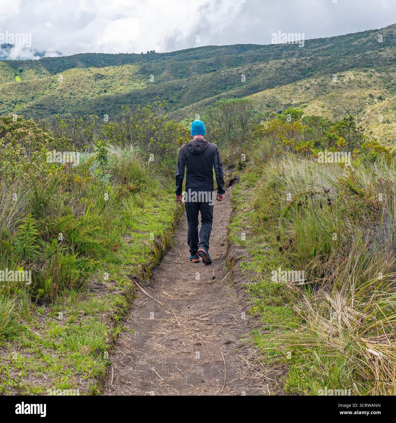 Man wandert in den Anden, dem Cuicocha-See, Otavalo, Ecuador. Stockfoto