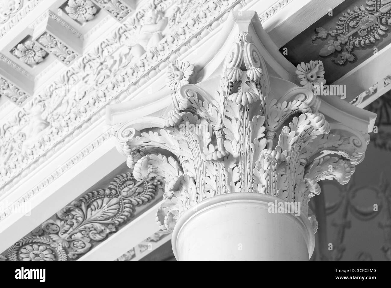 Komplizierte korinthische Hauptstadt mit Akanthusblättern und Scrollwerk. Klassische, dekorative Architektur, ideal für Innenräume, Museen oder historische Städte Stockfoto Komplizierte korinthische Hauptstadt mit Akanthusblättern und Scrollwerk. Klassische, dekorative Architektur, ideal für Innenräume, Museen oder historische Städte Stockfoto