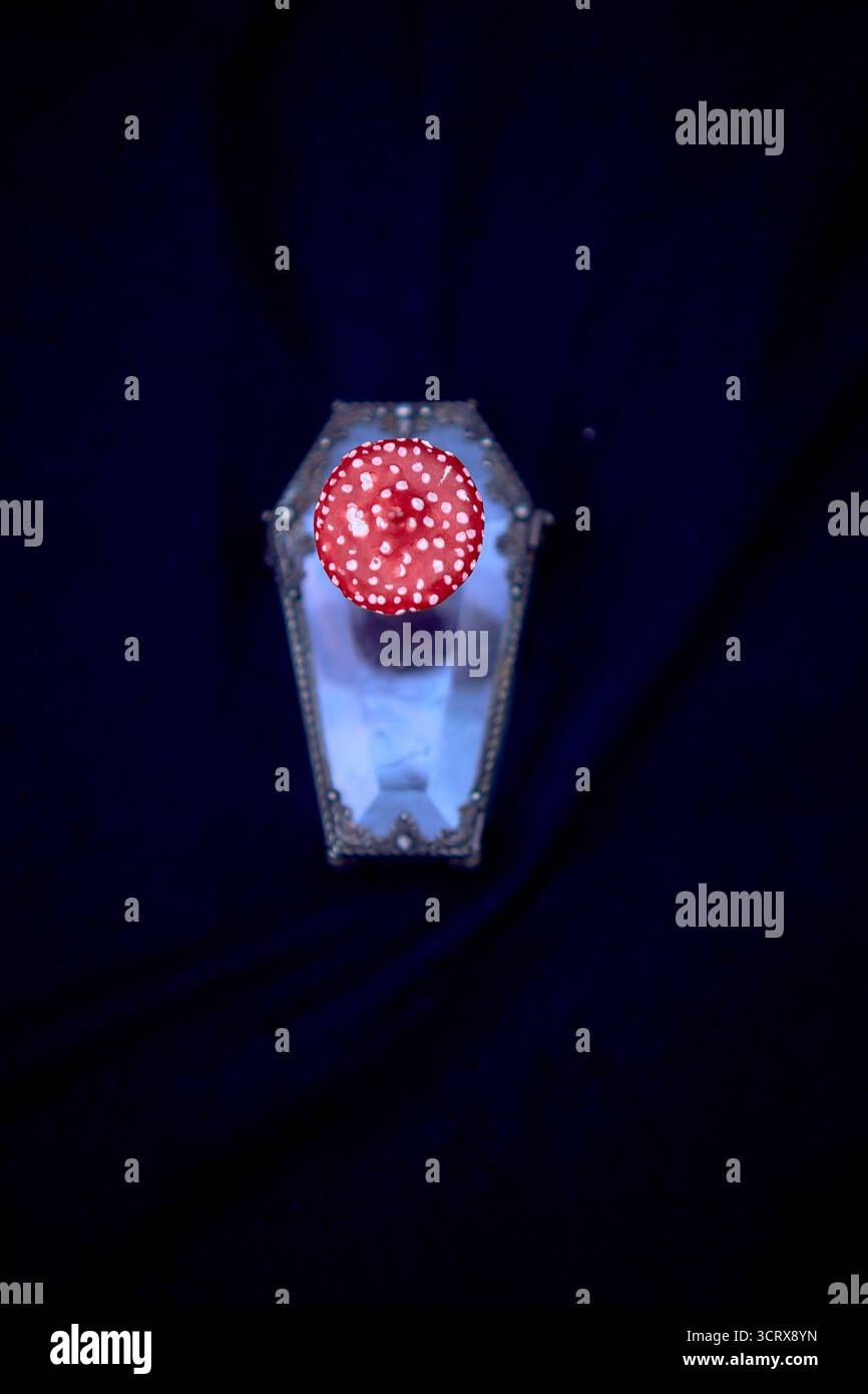 Hexenzubehör für magische Rituale an Halloween Stockfoto