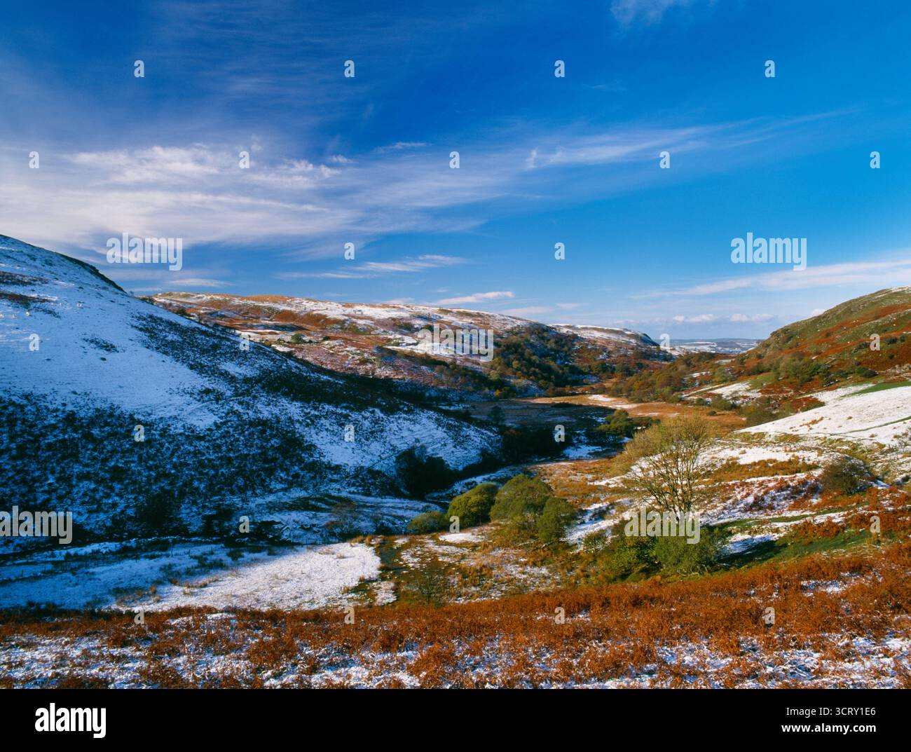 Sehen Sie den WNW hinunter das Tal des Afon Mwyro, dessen Hügel mit verlassenen Bauernhöfen gespickt sind, Ceredigion, Wales, Großbritannien. Ein abgelegenes, aber einst besiedeltes Gebiet. Stockfoto