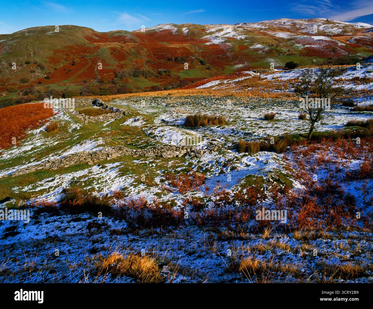 Sehen Sie nordöstlich einer langen, erdgrünen Plattform, die mit der Schafhaltung in Hafod Eidos über dem Mwyro Valley, Ceredigion, Wales, Vereinigtes Königreich in Verbindung steht: klostergrange. Stockfoto