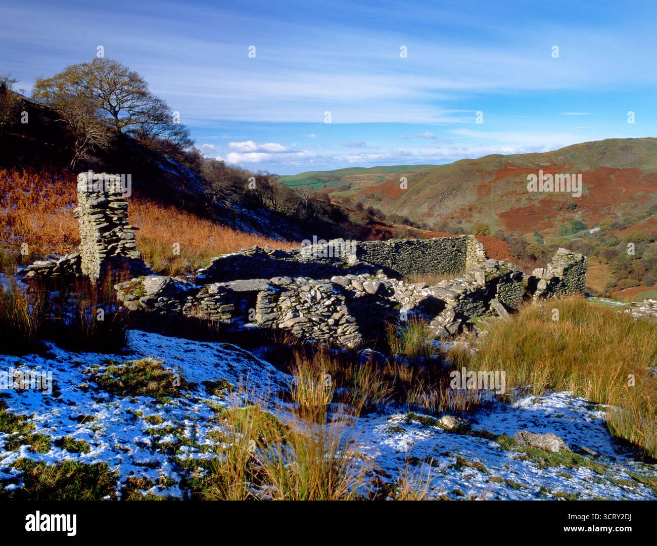 Sehen Sie die verlassenen Überreste des Gehöfts Gelli Clwydau oberhalb des Mwyro Valley, Ceredigion, Wales, Großbritannien: Ein langes rechteckiges Bauernhaus, das in den Hügel geschnitten wurde. Stockfoto