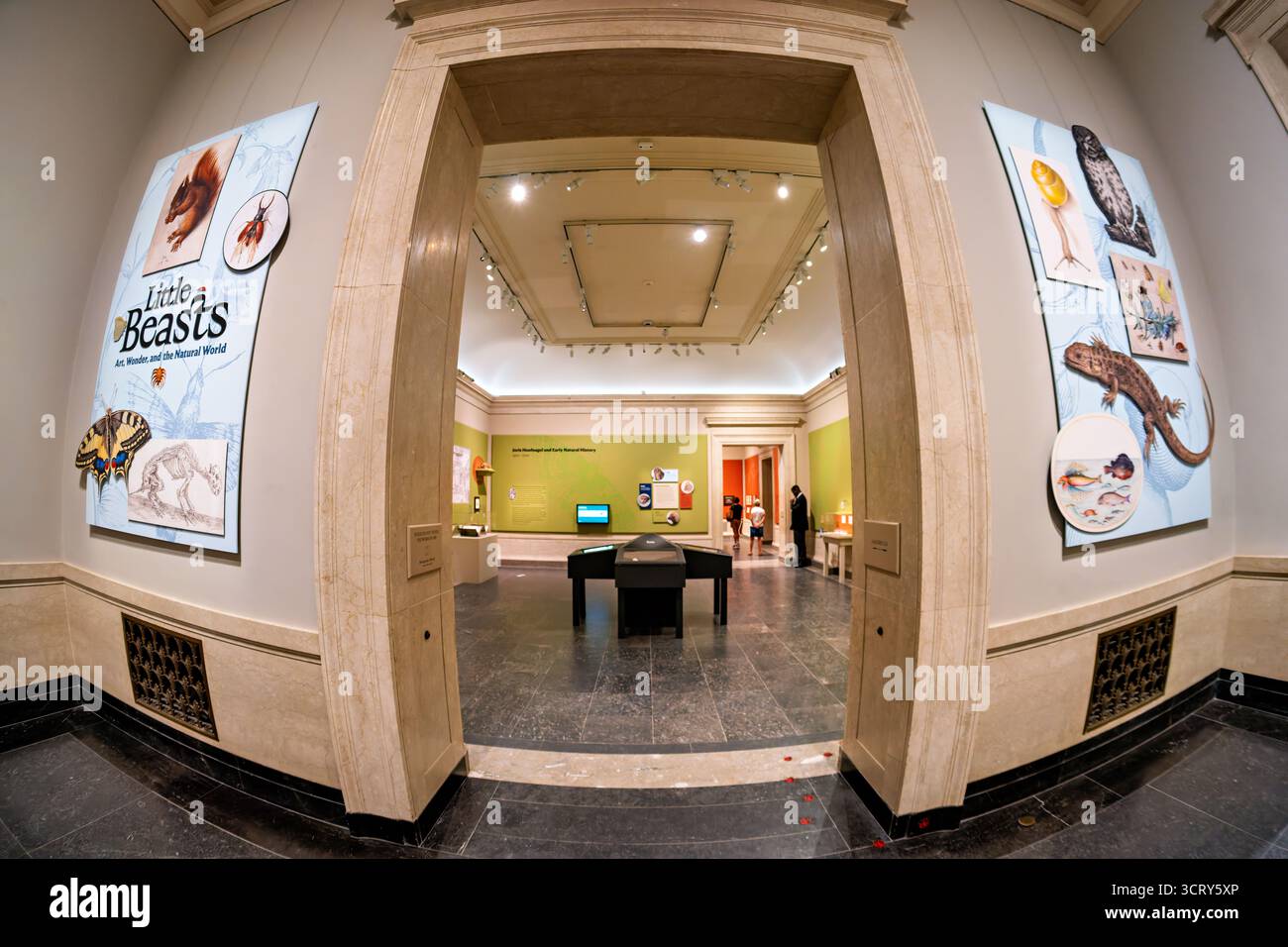 National Gallery Of Art Ausstellung Little Beasts Washington DC | WASHINGTON — Besucher betreten „Little Beasts: Kunst, Wunder und die natürliche Welt“ in der National Gallery of Art in Washington, D.C., eine Ausstellung, die etwa 75 Gemälde, Drucke und Zeichnungen mit Exemplaren aus dem Smithsonian's National Museum of Natural History kombiniert. Wandpaneele heben die Naturforscher-Künstler Joris Hoefnagel und Jan van Kessel hervor, die Insekten, Vögel und Reptilien in genauer wissenschaftlicher Detailgenauigkeit darstellen; die Ausstellung befindet sich bis zum 2. November 2025 in den Galerien des Westgebäudes. Stockfoto