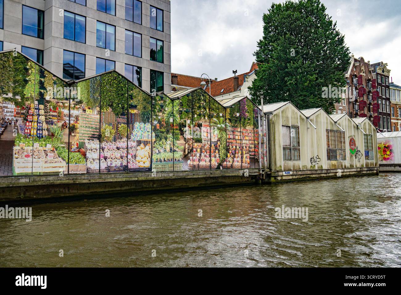 Blumenstände mit Bildern von Blumen entlang eines Kanals in Amsterdam, Niederlande, Europa Stockfoto